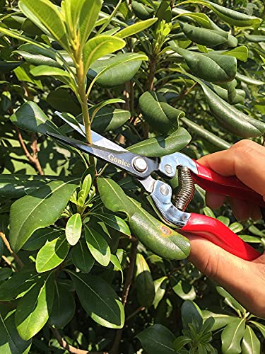 gonicc Professional Micro-Tip Pruning Snip (GPPS-1008), Small Garden Hand Pruner & shears For Arranging Flowers, Trimming Plants & Hydroponic Herbs, And Harvesting Fruits & Vegetables.