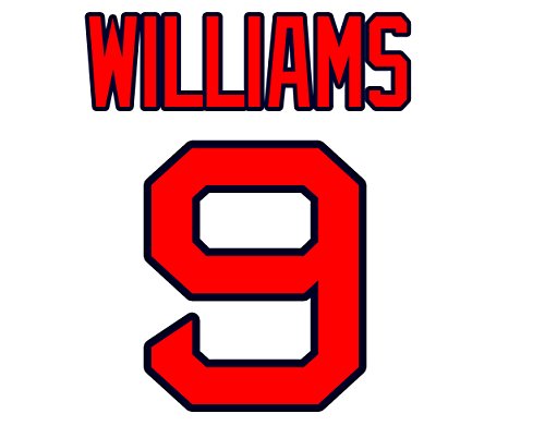 Ted Williams Boston Red Sox Jersey Number Kit, Authentic Home Jersey Any Name or Number Available