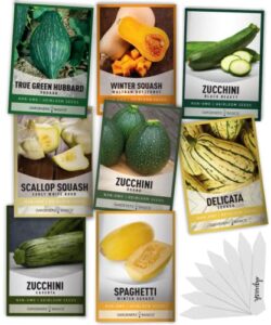 8 squash seeds for planting individual packets – zucchini, delicata, butternut, spaghetti, scallop, caserta, round and hubbard for your non gmo heirloom vegetable garden by gardeners basics