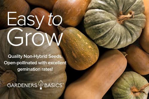 8 Squash Seeds for Planting Individual Packets - Zucchini, Delicata, Butternut, Spaghetti, Scallop, Caserta, Round and Hubbard for Your Non GMO Heirloom Vegetable Garden by Gardeners Basics