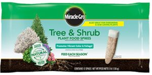 miracle-gro tree & shrub plant food spikes, 12 spikes/pack, 12 count (pack of 1)