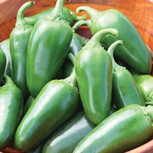 Burpee Jalapeno Early Organic Hot Pepper Seeds | 125 Non-GMO Jalapeno Pepper Garden Seeds for Planting | Heirloom Jalapeno Pepper Variety | Certified Organic Vegetable Seeds for Home Garden