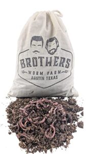 brothers worm farm – 100 live red wiggler composting worm mix. worms for composting and creating worm castings at home. ideal for worm composters, gardens, and worm bins.