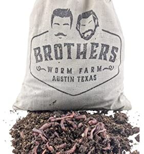 BROTHERS WORM FARM - 100 Live Red Wiggler Composting Worm Mix. Worms for Composting and Creating Worm Castings at Home. Ideal for Worm Composters, Gardens, and Worm Bins.