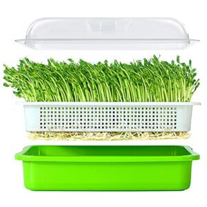 lejoy garden seed sprouter tray bpa free pp soil-free big capacity healthy wheatgrass grower with lid sprouting kit 13.4×9.84×4.72 inches(lxwxh)