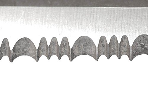 A.M. Leonard Deluxe Soil Knife, Orange – Hori Hori w/ 6-Inch Stainless Steel Blade