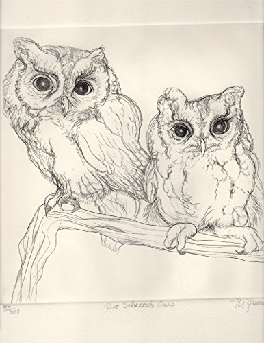 Two Screech Owls