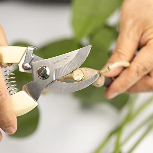 Criativo Live 14-Pack Gardening Scissors,Pruning Shear, Florist Scissors for home and gardening