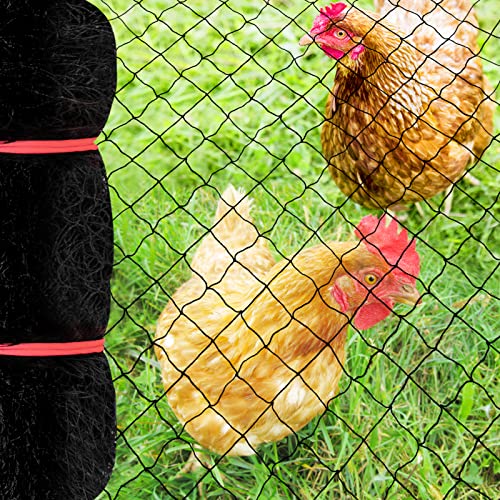 25 x 50 Ft Bird Netting with 2.4 in Square Mesh, Reusable Garden Netting for Chicken Coop, Nylon Poultry Net Deer Fence Netting for Protecting Vegetables Fruit Tree from Birds Squirrel