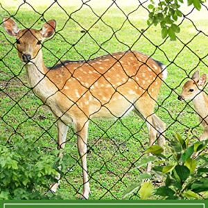 25 x 50 Ft Bird Netting with 2.4 in Square Mesh, Reusable Garden Netting for Chicken Coop, Nylon Poultry Net Deer Fence Netting for Protecting Vegetables Fruit Tree from Birds Squirrel