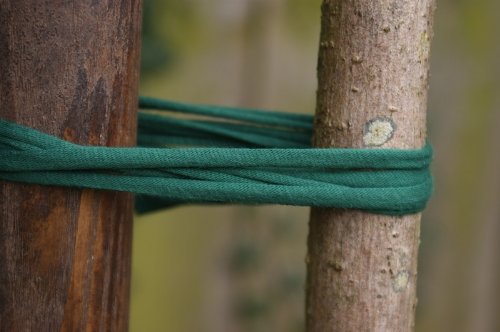 Biostretch Extra Wide Tree Ties and Large Plant String | Environmentally Smart Soft Green Plant Support and Garden Twine (Bio Extra Wide 26 ft / 8M)