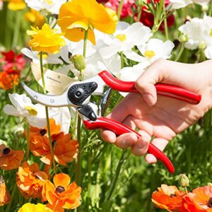 ClassicPRO Titanium Bypass Pruning Shears - Premium Garden Shears, Heavy Duty Hand Pruners -Ideal Plant Scissors, Tree Trimmer, Branch Cutter, Hedge Clippers, Ergonomic Garden Tool for Effortless Cuts