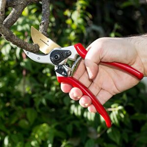 ClassicPRO Titanium Bypass Pruning Shears - Premium Garden Shears, Heavy Duty Hand Pruners -Ideal Plant Scissors, Tree Trimmer, Branch Cutter, Hedge Clippers, Ergonomic Garden Tool for Effortless Cuts