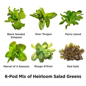 AeroGarden Heirloom Salad Greens Mix Seed Pod Kit - Salad Kit for AeroGarden Indoor Garden, 6-Pod