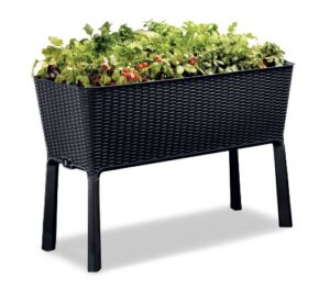 keter easy grow 31.7 gallon raised garden bed with self watering planter box and drainage plug-perfect for growing fresh vegetables, flowers and herbs