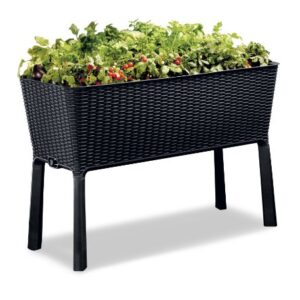 Keter Easy Grow 31.7 Gallon Raised Garden Bed with Self Watering Planter Box and Drainage Plug-Perfect for Growing Fresh Vegetables, Flowers and Herbs