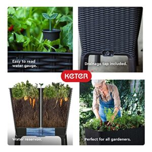 Keter Easy Grow 31.7 Gallon Raised Garden Bed with Self Watering Planter Box and Drainage Plug-Perfect for Growing Fresh Vegetables, Flowers and Herbs