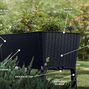 Keter Easy Grow 31.7 Gallon Raised Garden Bed with Self Watering Planter Box and Drainage Plug-Perfect for Growing Fresh Vegetables, Flowers and Herbs