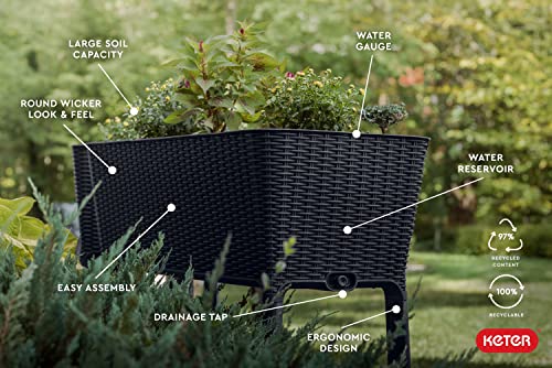 Keter Easy Grow 31.7 Gallon Raised Garden Bed with Self Watering Planter Box and Drainage Plug-Perfect for Growing Fresh Vegetables, Flowers and Herbs