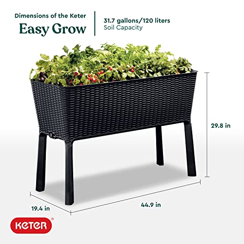 Keter Easy Grow 31.7 Gallon Raised Garden Bed with Self Watering Planter Box and Drainage Plug-Perfect for Growing Fresh Vegetables, Flowers and Herbs