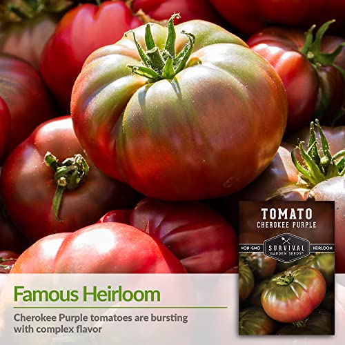 Survival Garden Seeds - Cherokee Purple Tomato Seed for Planting - Packet with Instructions to Plant and Grow Large Delicious Slicing Tomatoes in Your Home Vegetable Garden - Non-GMO Heirloom Variety