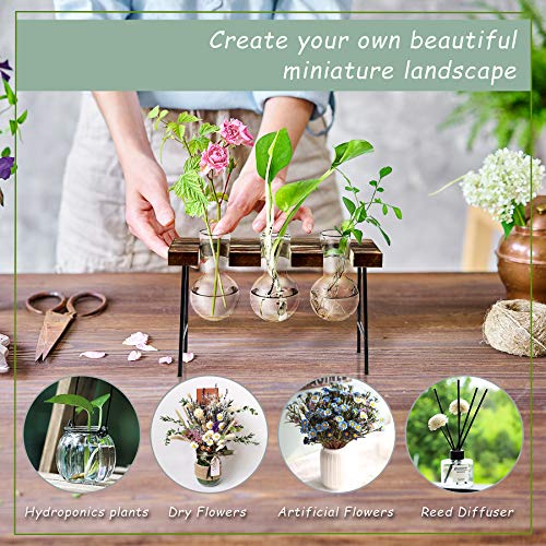 LESES Plant Propagation Stations Desktop Air Plant Terrarium, Glass Planter Bulb Glass Vase with Wood Stand Propagation Station for Hydroponics Plants Home Office Garden Decor