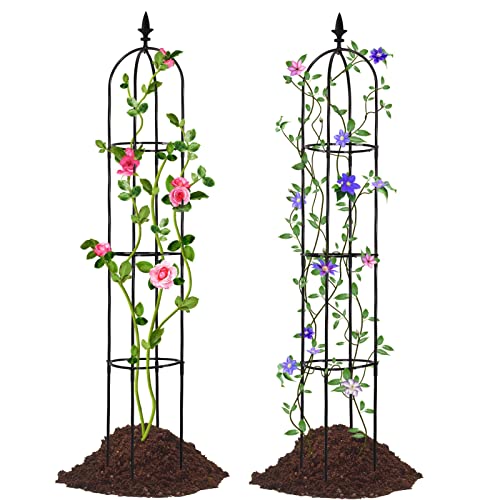 Lalahoni Garden Trellis for Climbing Plants Outdoor, 2 Pack 6ft Tall Plant Support Trellis for Potted Plants Climbing Vine Rose Clematis Outdoor Indoor Garden Obelisk Trellis, Lightweight, Black