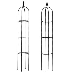 Lalahoni Garden Trellis for Climbing Plants Outdoor, 2 Pack 6ft Tall Plant Support Trellis for Potted Plants Climbing Vine Rose Clematis Outdoor Indoor Garden Obelisk Trellis, Lightweight, Black