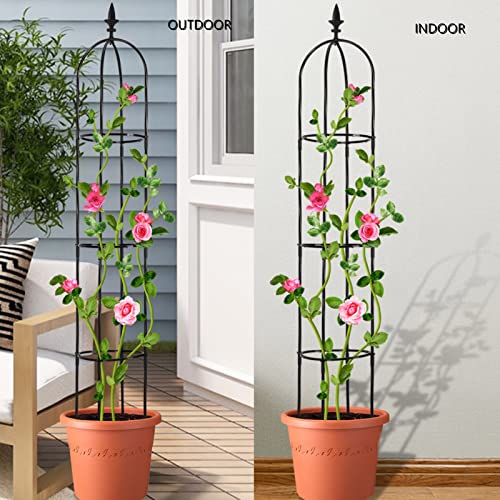 Lalahoni Garden Trellis for Climbing Plants Outdoor, 2 Pack 6ft Tall Plant Support Trellis for Potted Plants Climbing Vine Rose Clematis Outdoor Indoor Garden Obelisk Trellis, Lightweight, Black