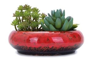 vanenjoy 7.3 inch round large shallow succulent ceramic glazed planter pots with drainage hole, bonsai pots garden decorative cactus stand flower container (red)