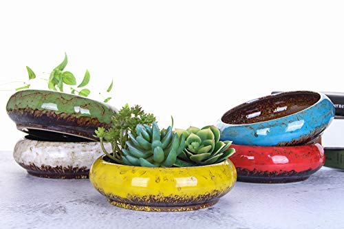 VanEnjoy 7.3 inch Round Large Shallow Succulent Ceramic Glazed Planter Pots with Drainage Hole, Bonsai Pots Garden Decorative Cactus Stand Flower Container (Red)