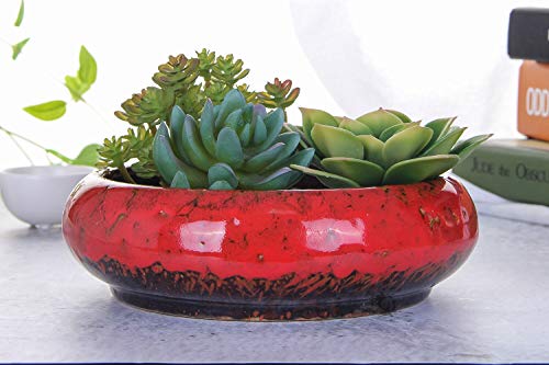 VanEnjoy 7.3 inch Round Large Shallow Succulent Ceramic Glazed Planter Pots with Drainage Hole, Bonsai Pots Garden Decorative Cactus Stand Flower Container (Red)