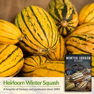 Survival Garden Seeds - Delicata Winter Squash Seed for Planting - Packet with Instructions to Plant and Grow Long-Lasting Winter Food Storage in Your Home Vegetable Garden - Non-GMO Heirloom Variety