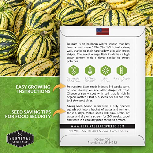 Survival Garden Seeds - Delicata Winter Squash Seed for Planting - Packet with Instructions to Plant and Grow Long-Lasting Winter Food Storage in Your Home Vegetable Garden - Non-GMO Heirloom Variety