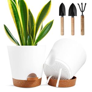 ocakuiter plant pots, 5 pack 6 inch self watering planters , plastic flower pots with drainage hole, succulents,snake plant, african violet, and cactus for indoor windowsill garden flower plants