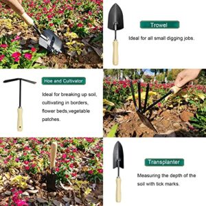 Garden Tool Set Heavy Duty Gardening Tools,13 Piece Alloy Steel Hand Tool Starter Kit with Garden Bag,Trowel, Hand Weeder, Cultivator, Outdoor Tool with Ergonomic Non-Slip Handle Gardening Gift Women