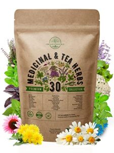 30 medicinal & tea herb seeds variety pack for planting indoor & outdoors. 7000+ non-gmo heirloom herbal garden seeds: anise, bergamot, borage, cilantro, chamomile, dandelion, rosemary seeds & more