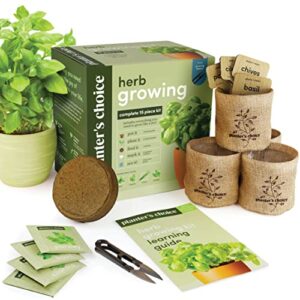 indoor herb garden starter kit – cooking gifts for women gardener – creative kitchen gift for plant lovers – home herb growing, gardening seeds + step by step guide – vegan gift ideas for lover