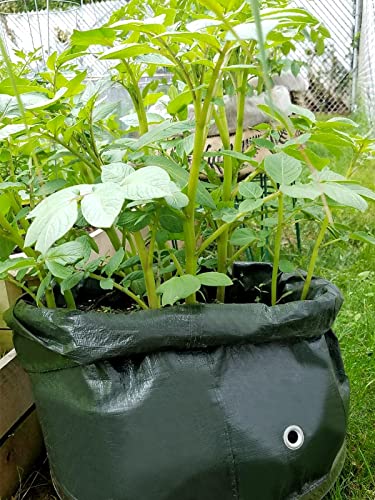 4 Pack 10 Gallon Garden Potato Grow Bags with Flap and Handles Aeration Fabric Pots Heavy Duty Vegetable Planter Bag for Tomato, Fruits