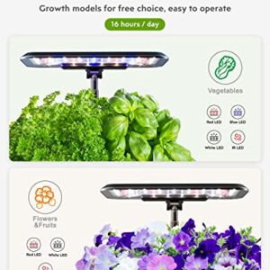 Hydroponics Growing System Indoor Garden: Herb Garden Kit Indoor with LED Grow Light Quiet Smart Water Pump Automatic Timer Healthy Fresh Herbs Vegetables - Hydroponic Planter for Home Kitchen Office…