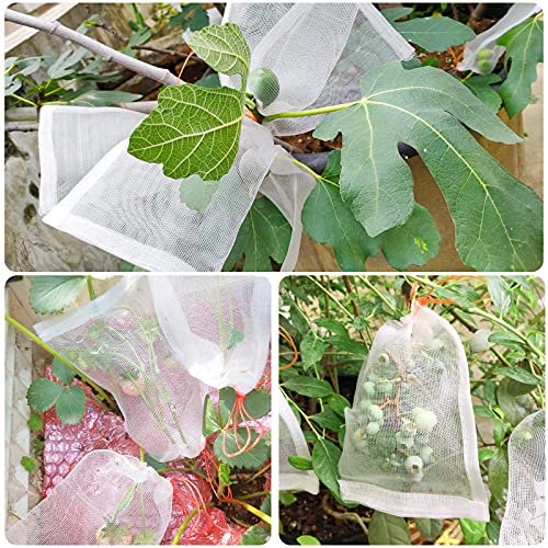 Fruit Protection Bags, EnPoint Garden Netting Bags 100 Pack 4x6 Inch Nylon Net Barrier Small Tiny Bags with Drawstring for Protecting Plant Seed Fruit Flower Vegetable, Reusable Mesh Protect Bags