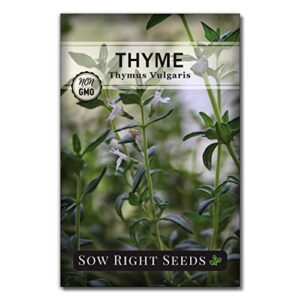 Sow Right Seeds - Hydroponic Herb Seeds for Planting - Basil, Thyme, Cilantro, Parsley, & Oregano Seeds for Planting and Growing a Hydroponic Garden Indoors - Perfect for Your Growing Tower or System