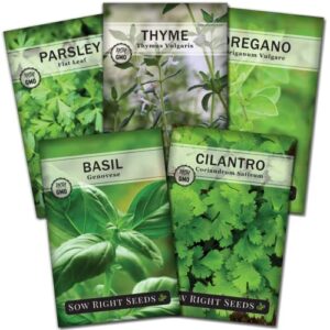 sow right seeds – hydroponic herb seeds for planting – basil, thyme, cilantro, parsley, & oregano seeds for planting and growing a hydroponic garden indoors – perfect for your growing tower or system