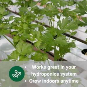 Sow Right Seeds - Hydroponic Herb Seeds for Planting - Basil, Thyme, Cilantro, Parsley, & Oregano Seeds for Planting and Growing a Hydroponic Garden Indoors - Perfect for Your Growing Tower or System