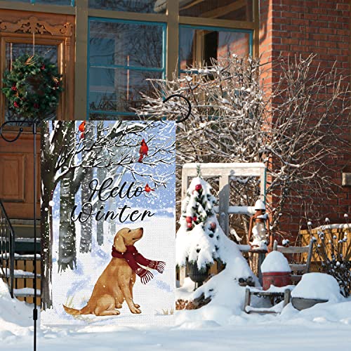 Hello Winter Dog Garden Flag 12x18 Double Sided, Burlap Farmhouse Small Golden Cardinal Retriever Garden Yard Flags for Winter Seasonal Outside Outdoor House Holiday Decor (ONLY FLAG)