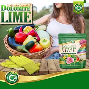 Organic Dolomite Lime - Made in USA Garden Soil Amendment Fertilizer for Plants. Calcium/Magnesium Additive. Safely Raise & Stabilize pH - Earthbox. 100% Water Soluble.