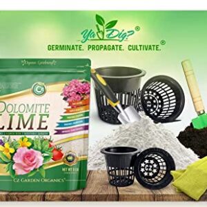 Organic Dolomite Lime - Made in USA Garden Soil Amendment Fertilizer for Plants. Calcium/Magnesium Additive. Safely Raise & Stabilize pH - Earthbox. 100% Water Soluble.