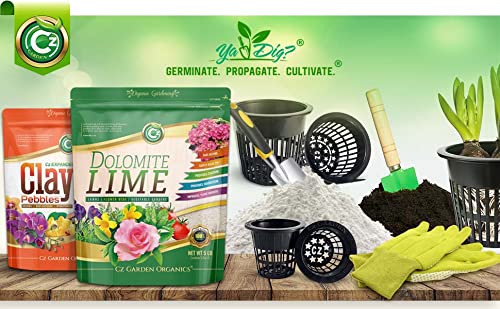 Organic Dolomite Lime - Made in USA Garden Soil Amendment Fertilizer for Plants. Calcium/Magnesium Additive. Safely Raise & Stabilize pH - Earthbox. 100% Water Soluble.