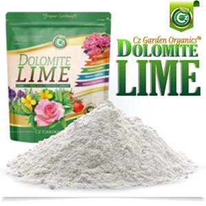 Organic Dolomite Lime - Made in USA Garden Soil Amendment Fertilizer for Plants. Calcium/Magnesium Additive. Safely Raise & Stabilize pH - Earthbox. 100% Water Soluble.