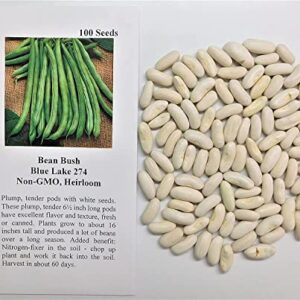 David's Garden Seeds Bean Bush Blue Lake 274 FBA-00015 (Green) 100 Non-GMO, Heirloom Seeds